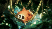 Dodo Bird Sleeping GIF by Xbox