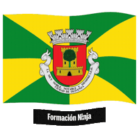 Flag Spain Sticker by Formación Ninja