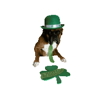 loutheboxerdog dog boxer lou louie Sticker