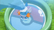 Alpha Sapphire GIF by Pokémon