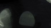 GIF by ActionVFX