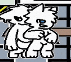 Transformation GIF