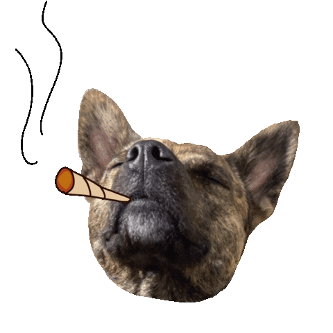 Marianrae Sticker