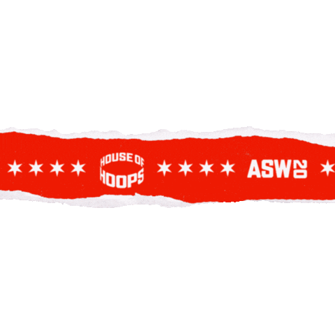 All Star Chicago Sticker by House of Hoops
