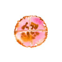 Palette Studio Sticker