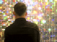 Possible GIF by GIPHY IRL