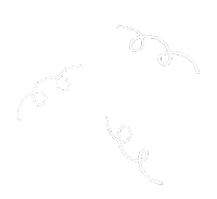 Pattern Spinning Sticker
