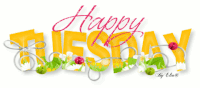 Happy Tuesday GIF