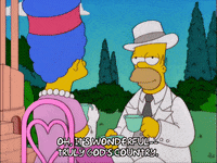 homer simpson episode 6 GIF