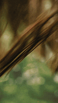 icecreammanmovie horror kids scared gross GIF