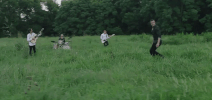 Natural GIF by Imagine Dragons