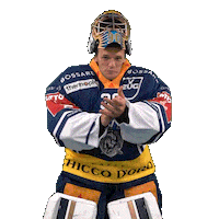 Ice Hockey Zug Sticker by EVZ