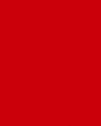 Jong Az Football GIF by AZ Alkmaar