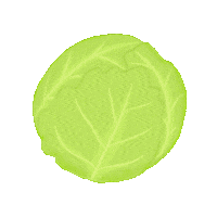Vegetables Veggie Sticker
