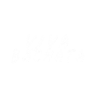 VivaLaBachata salsa bachata bachatasensual latindance Sticker