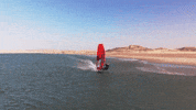 Racing GIF by Severne Windsurfing