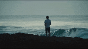 Surfing Hawaii GIF by 50statesproject