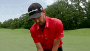 GIF by Wilson Golf