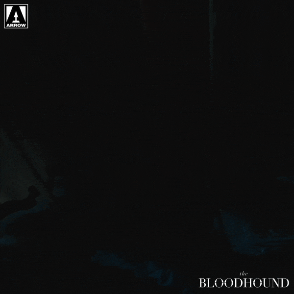 Liam Aiken What GIF by Arrow Video