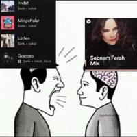 Cakal Sebo GIF