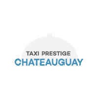 Logo Car Sticker by Taxelco