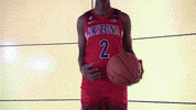 Wildcats GIF by Arizona Men's Basketball