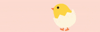 GIF by Powderly