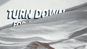 Turn Down For What Travel GIF by orbitz