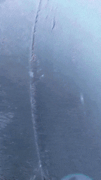 Glace Gele GIF by Blinker Professional Components