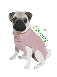Pug Sticker