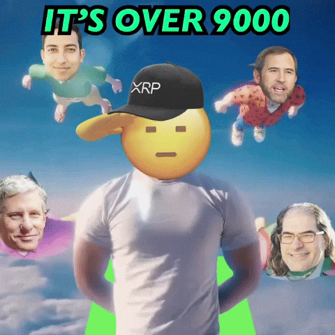 K Pop Xrp GIF by SaluteXRPL