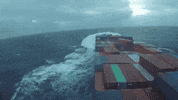 GIF by tomcjbrown