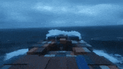 GIF by tomcjbrown