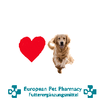 La Retrieve Sticker by Europeanpetpharmacy