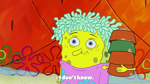 season 9 sanctuary GIF by SpongeBob SquarePants