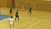 czech-north-media sport futsal headshot czech futsal GIF