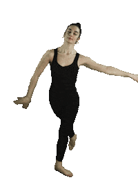 Dance Ballet Sticker by TheFactory.video