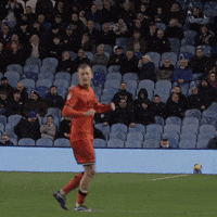 Happy Football GIF by MillwallFC