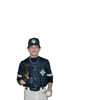 Clarke Baseball Sticker by Clarke University