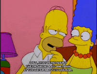 homer simpson GIF