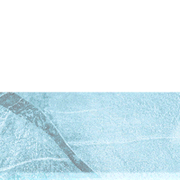 Ice Age Sticker by Disney+