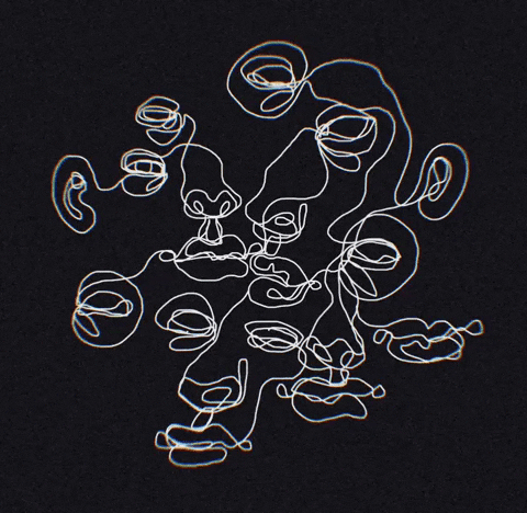 paigestrabala giphyupload GIF