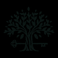 The Maimon Group GIF by Luxury Home Rentals by TMG