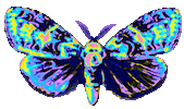 sky flying Sticker