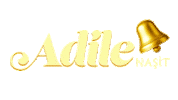 Adile Sticker by BKM Online