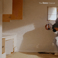 Season 1 Episode 6 GIF by The Roku Channel