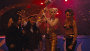 Harley Quinn Bop GIF by Birds Of Prey