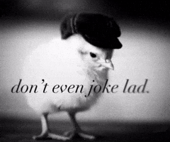 Dont Even Joke Lad GIF