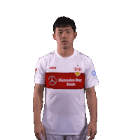 Come On Seriously Sticker by VfB Stuttgart