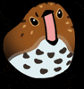 Daily Birds GIF